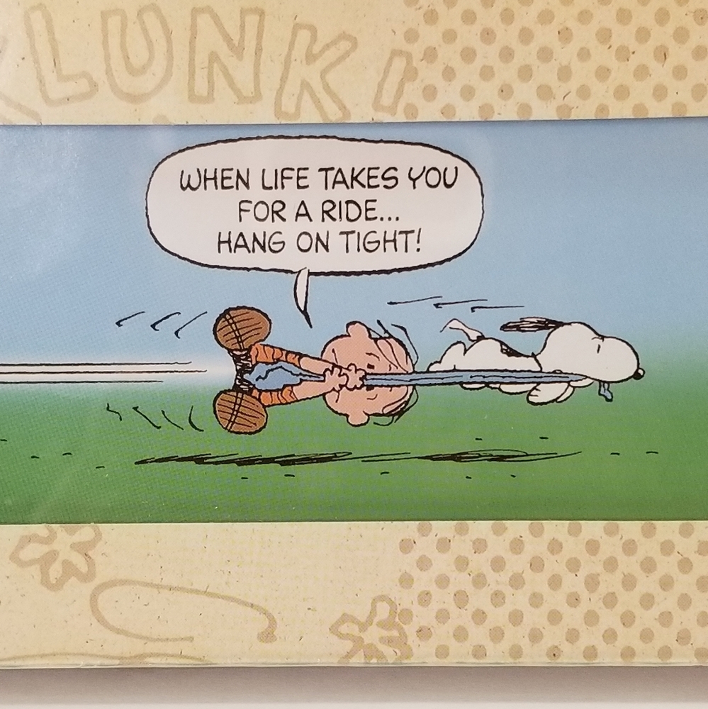 Peanuts picture art comic strip snoopy & Linus